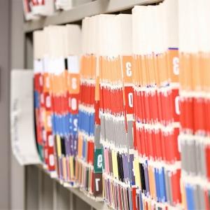 Numbered file folders on an office shelf